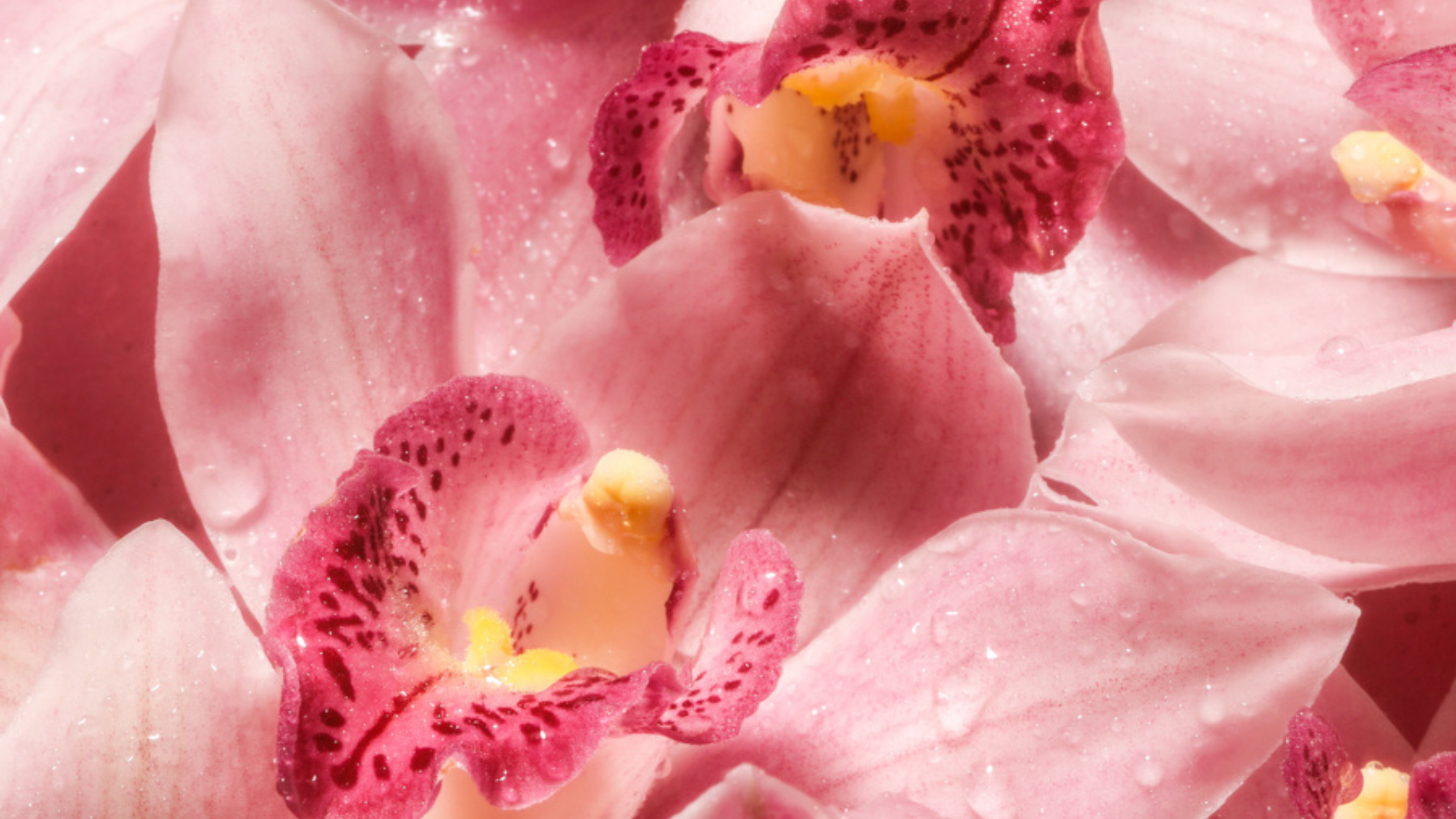 Unlocking Pleasure with Natural Botanicals