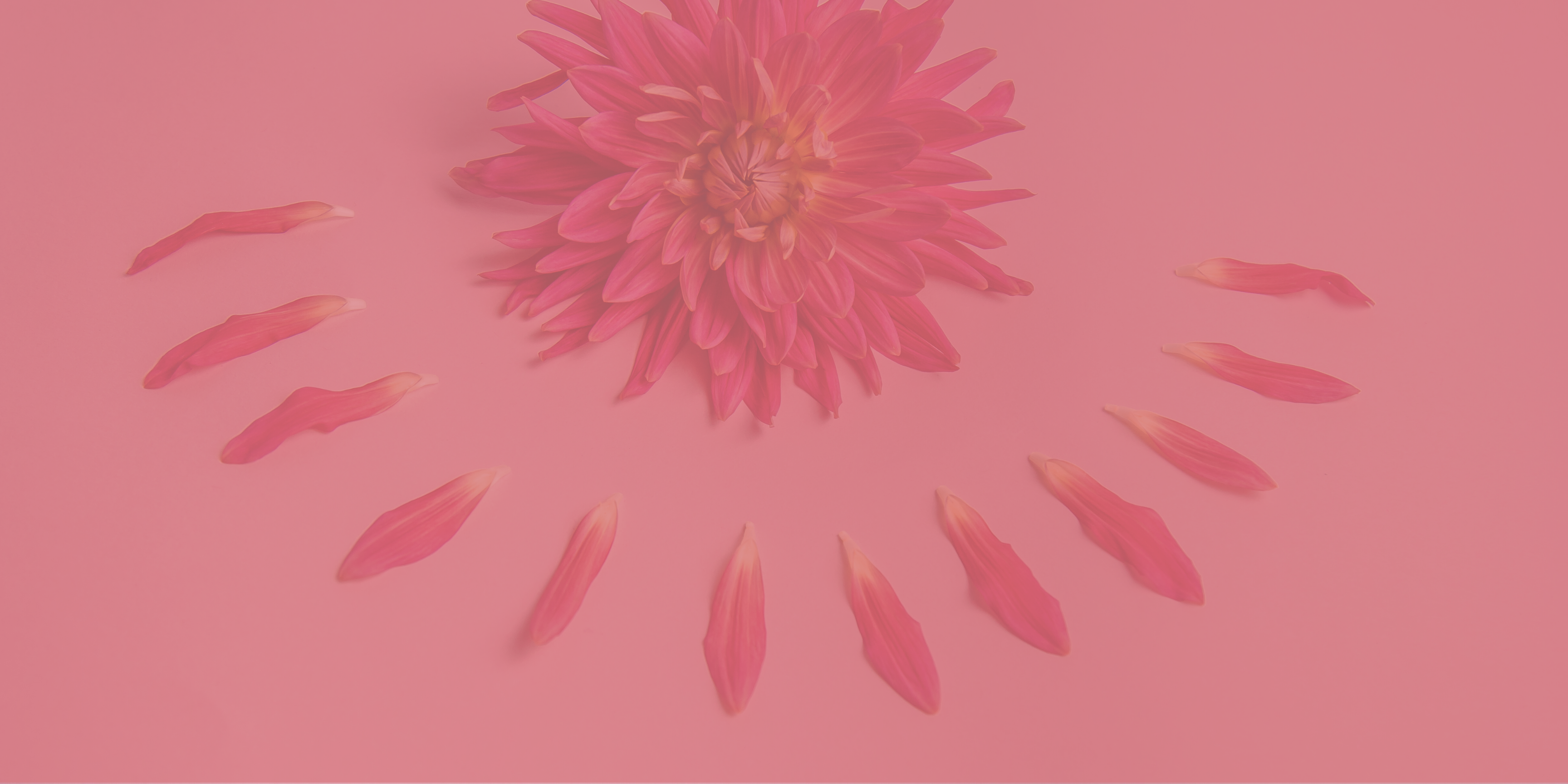 Menopause