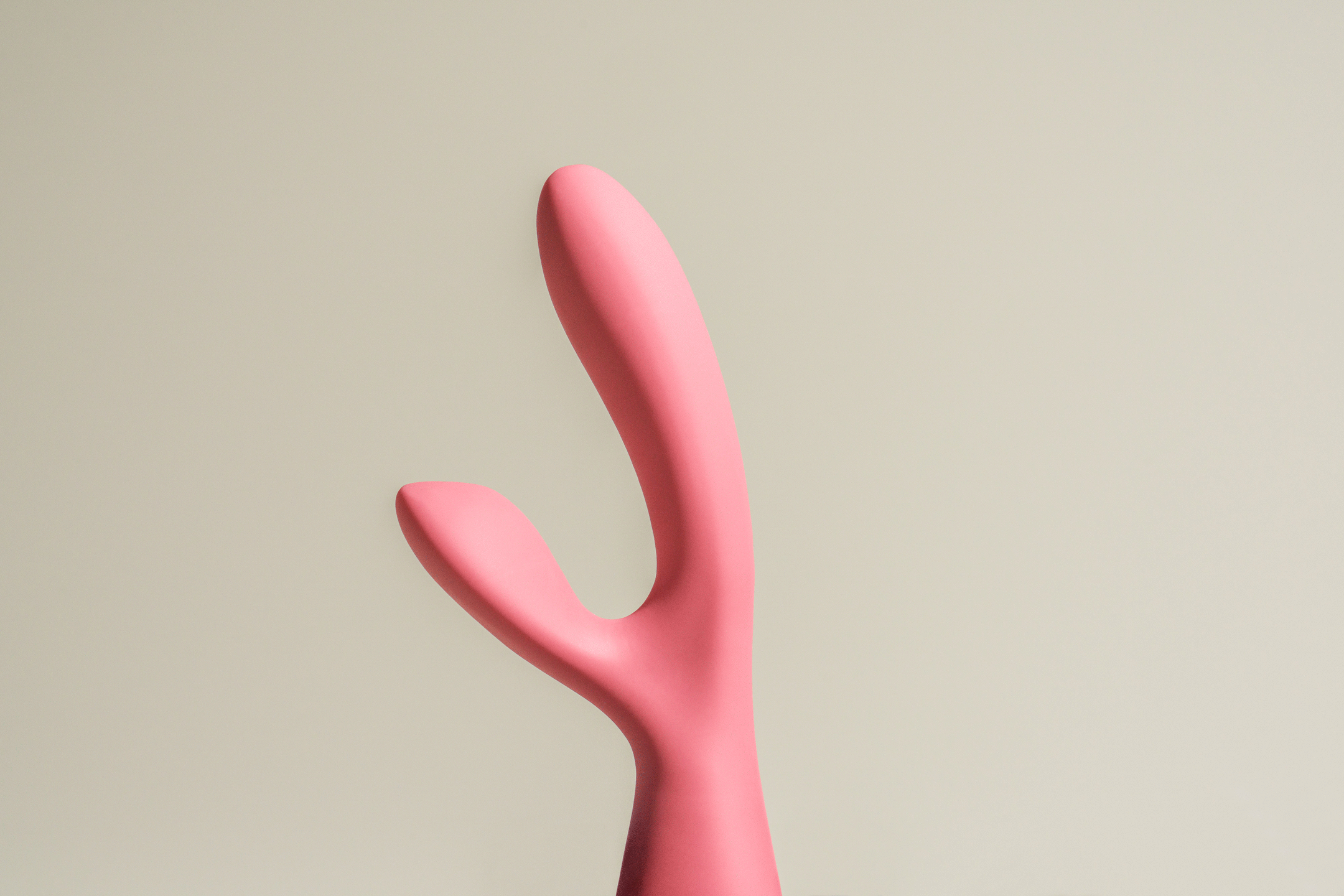 The Artist Rabbit Vibrator