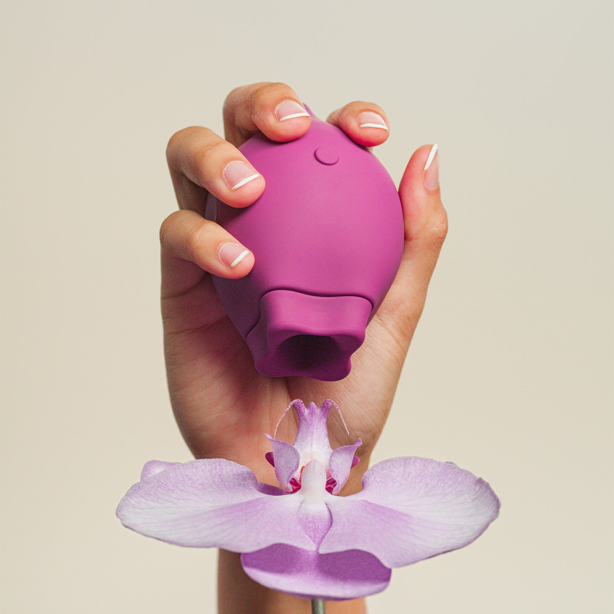 The Poet Suction Vibrator