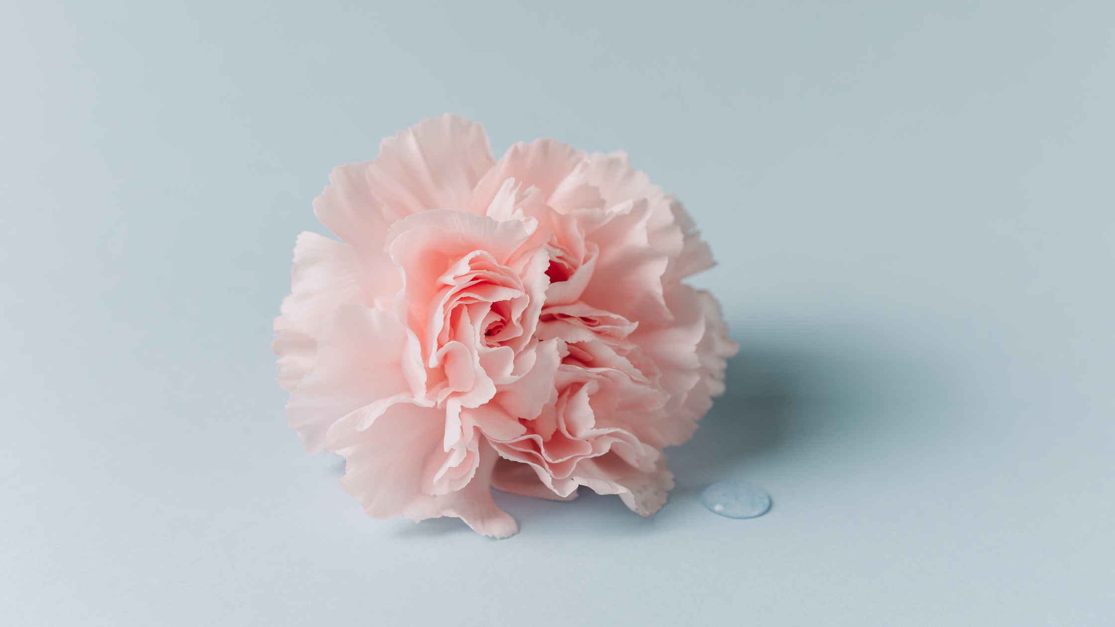Menopause Symptoms: Finding Natural Support
