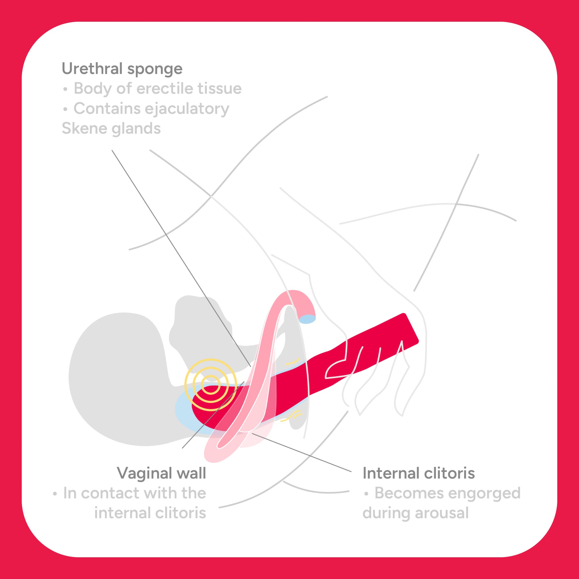 The Romantic G-Spot Vibrator
