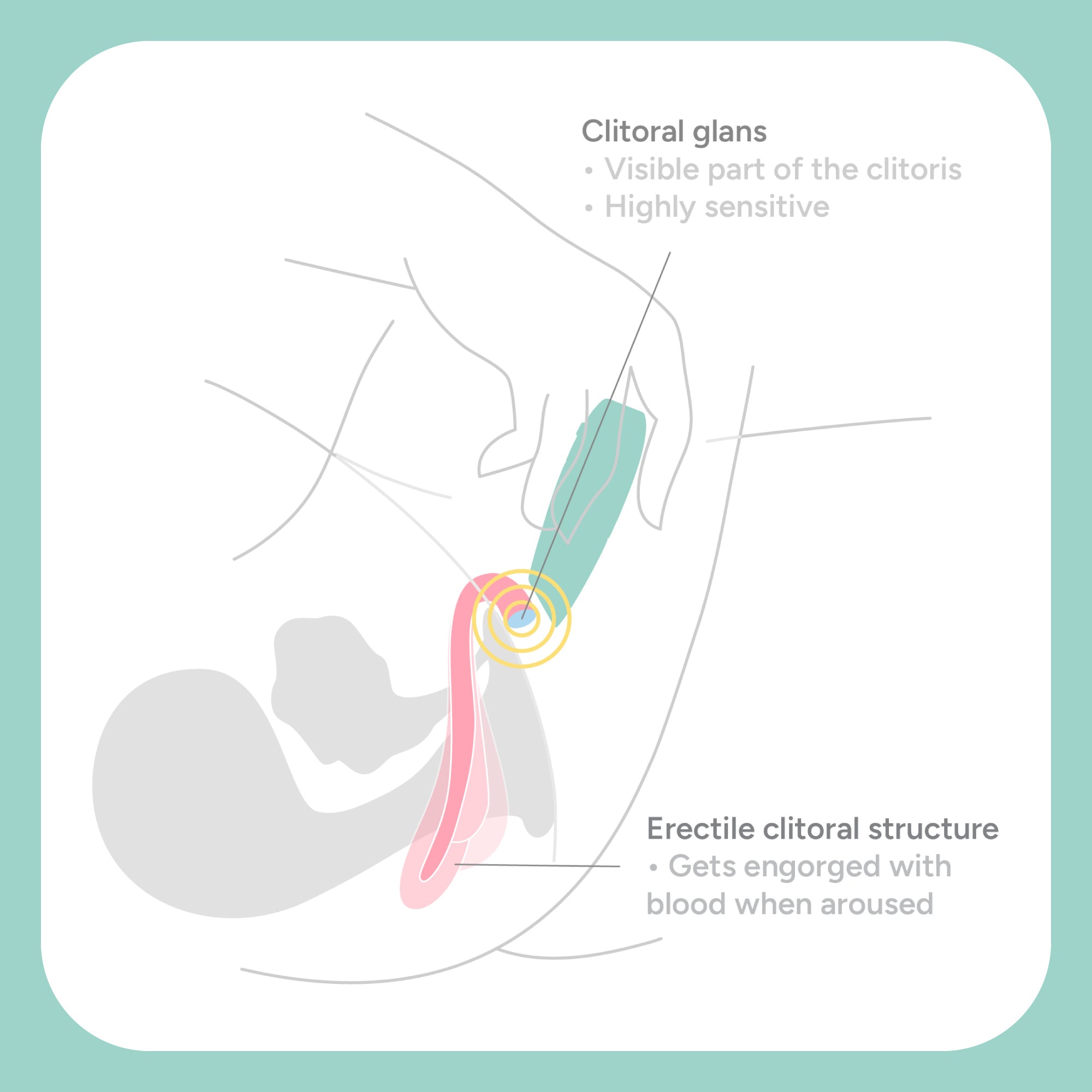 The Whisperer Clitoral Vibrator
