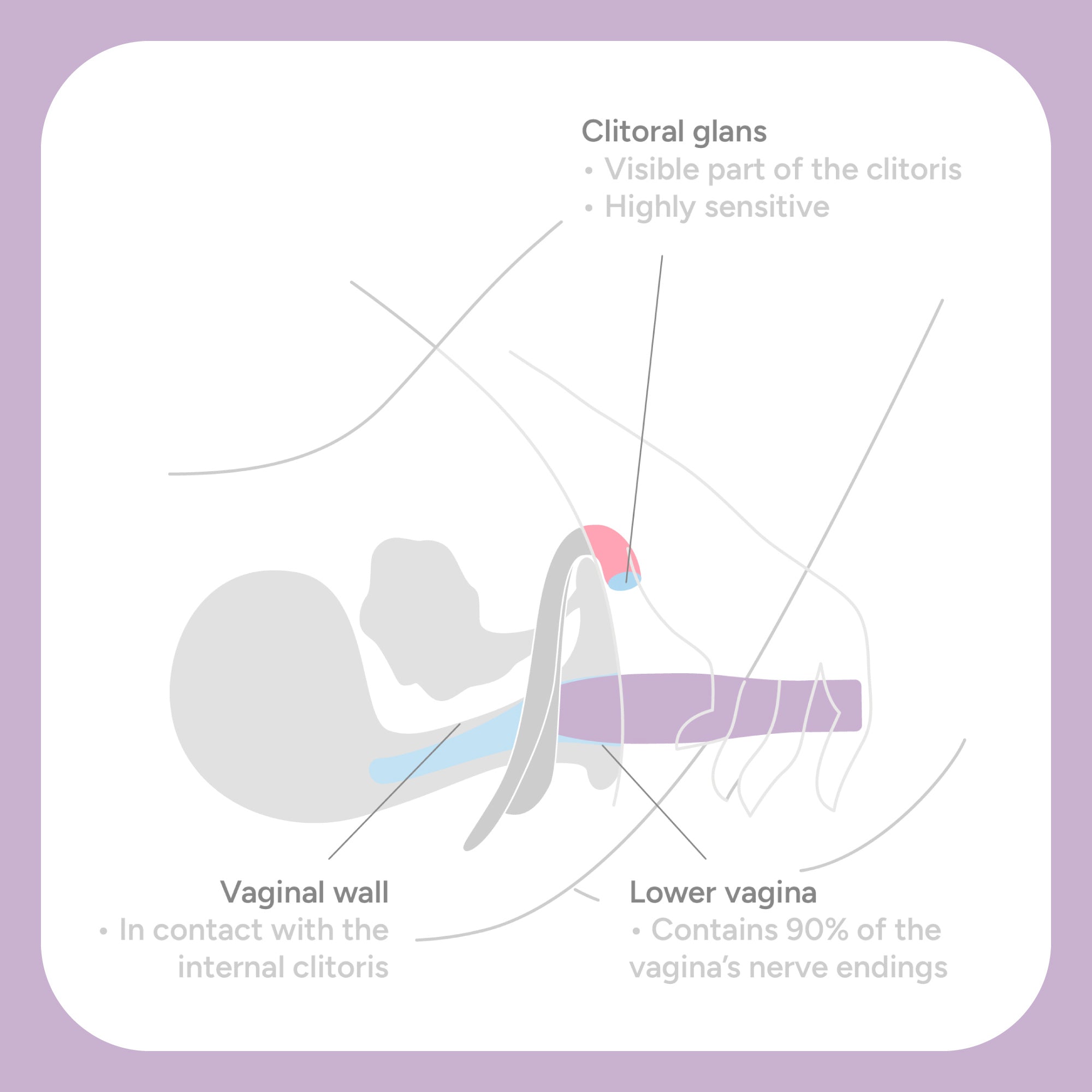 The Billionaire Clitoral Vibrator