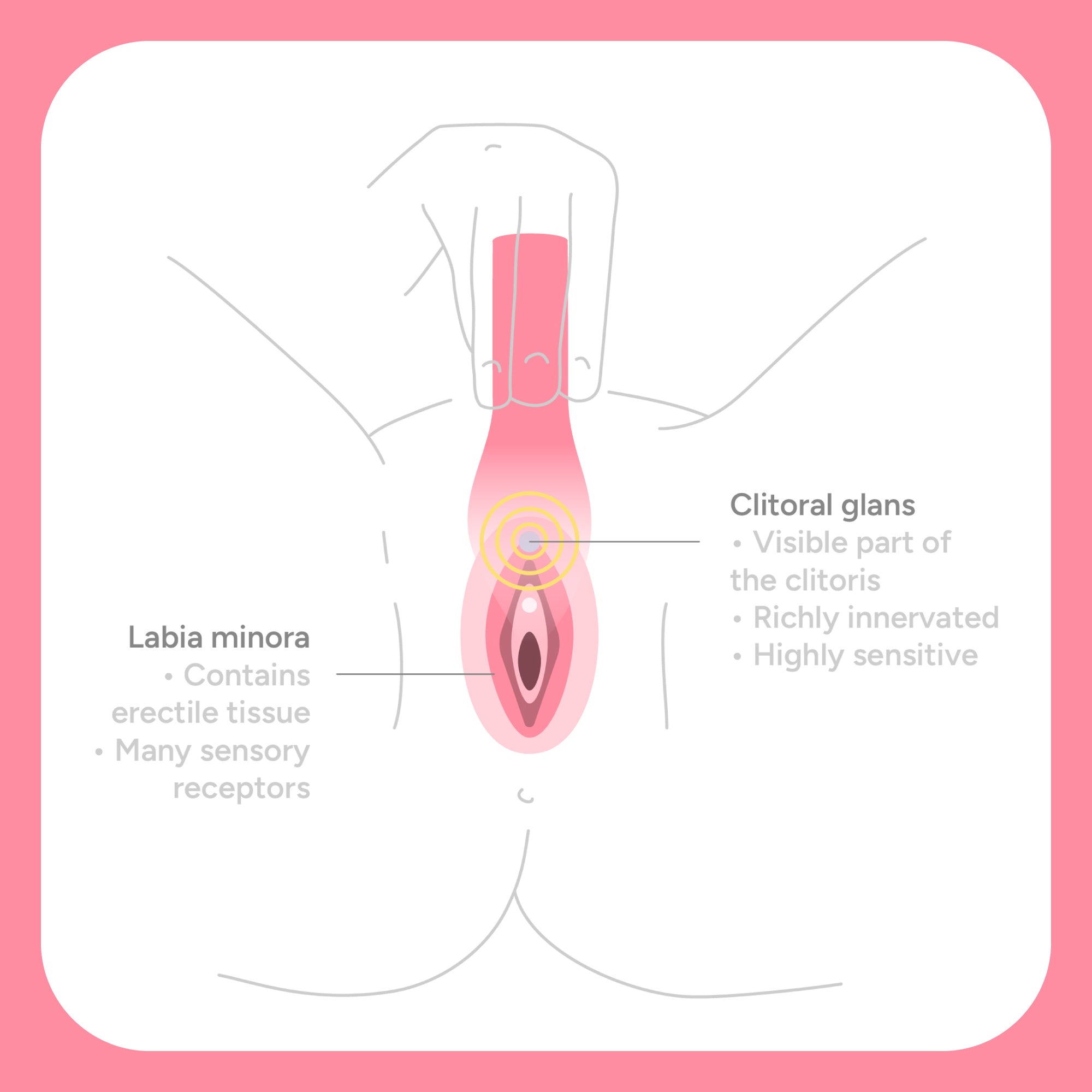 The Firefighter Clitoral Vibrator