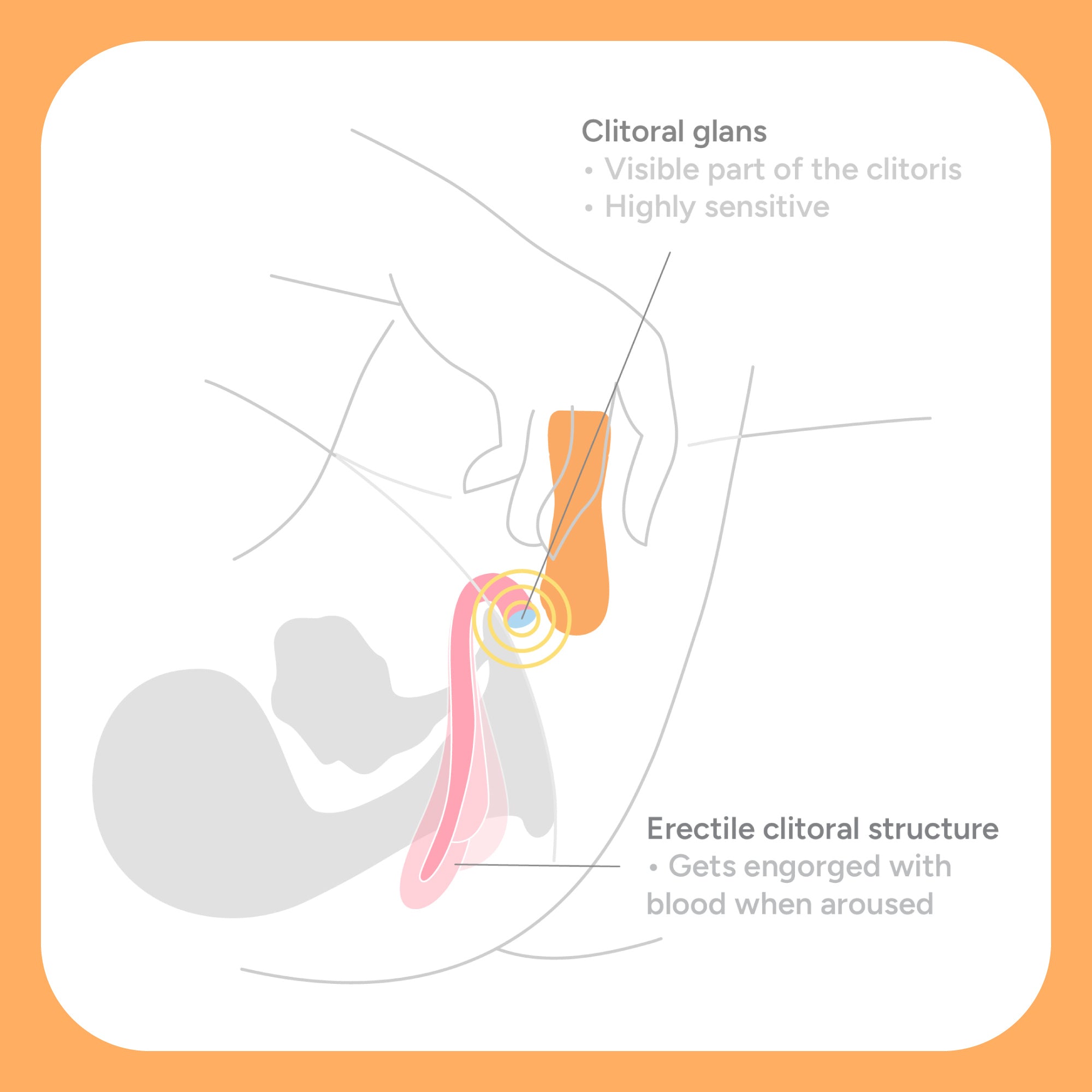 The Surfer Clitoral Vibrator
