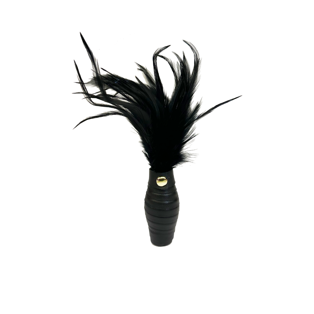 Black Leather Feather Tickler